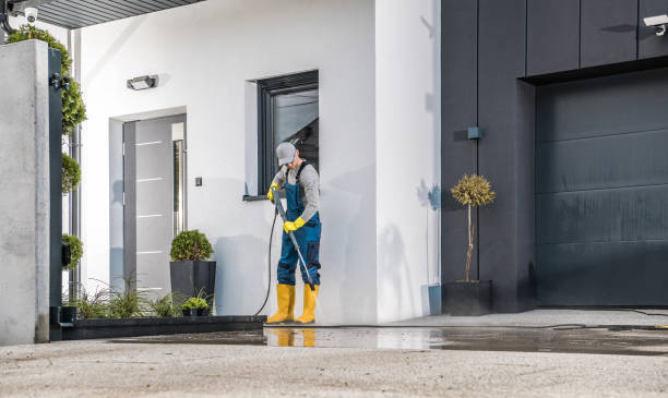 Best Driveway Pressure Washing  in Sandy Hook, CT